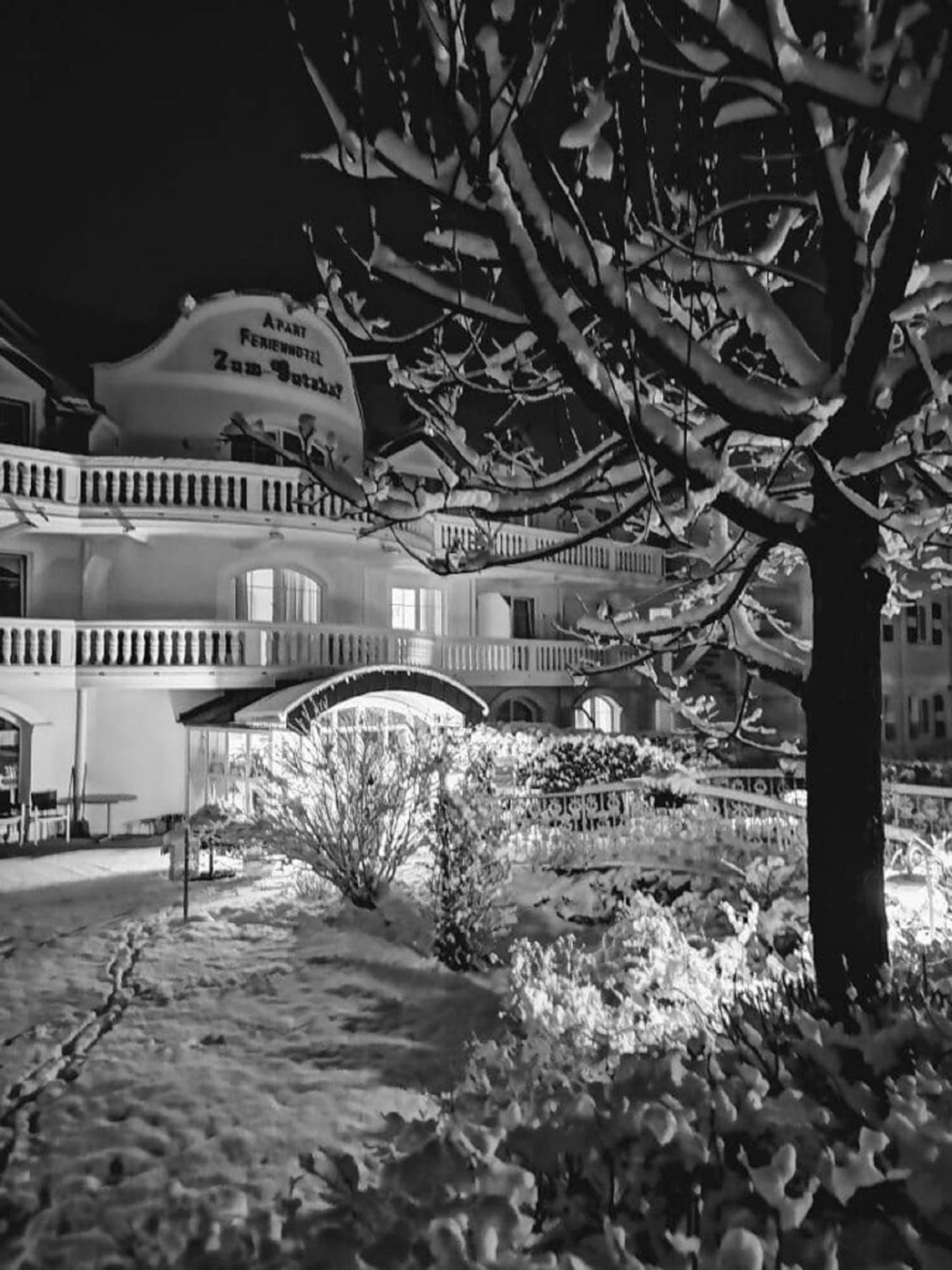Ferienappartements-Grolik Im Aparthotel Zum Gutshof Hohenwarth エクステリア 写真