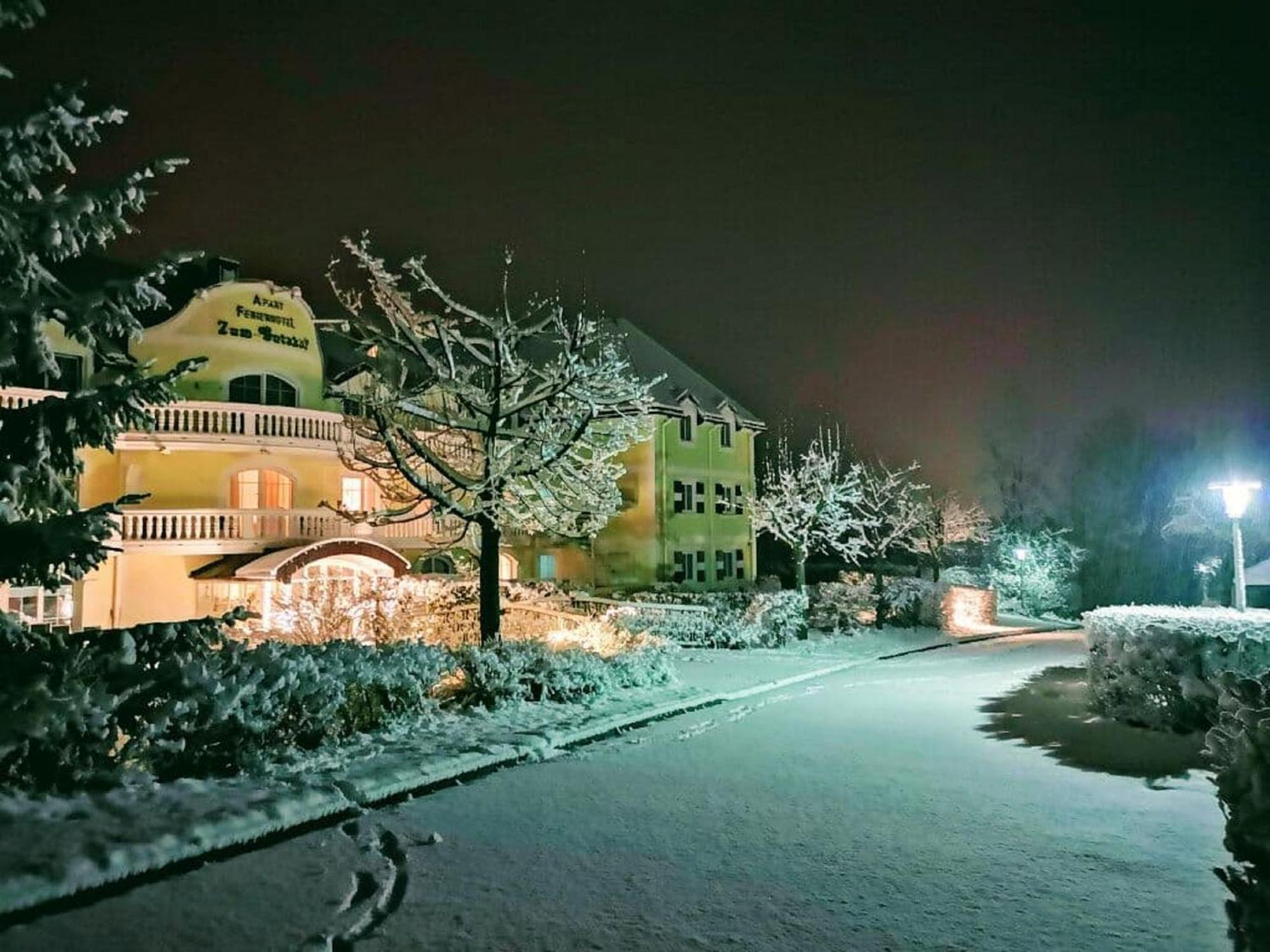 Ferienappartements-Grolik Im Aparthotel Zum Gutshof Hohenwarth エクステリア 写真